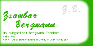 zsombor bergmann business card